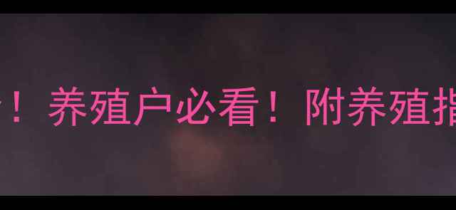 图片 🔥伊犁雏鸡价格全！养殖户必看！附养殖指南与行情趋势🐔2