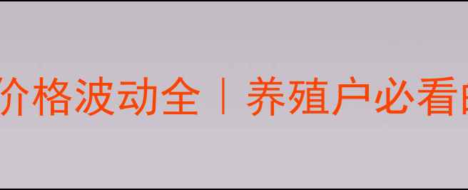 图片 🔥信阳市生猪价格波动全｜养殖户必看的行情指南🐷1