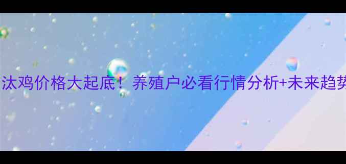 图片 🔥全国淘汰鸡价格大起底！养殖户必看行情分析+未来趋势预测🐔2