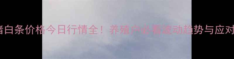 图片 🔥全国猪白条价格今日行情全！养殖户必看波动趋势与应对策略🔥2