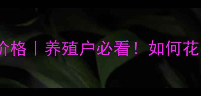 图片 🔥副猪肺毒康最新价格｜养殖户必看！如何花小钱治好蓝耳病？2