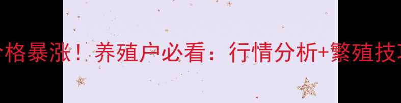 图片 🔥双胞胎猪价格暴涨！养殖户必看：行情分析+繁殖技巧+利润攻略1