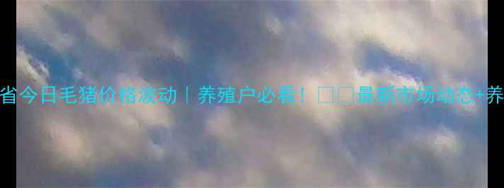 图片 🔥吉林省今日毛猪价格波动｜养殖户必看！🐷🔥最新市场动态+养殖建议