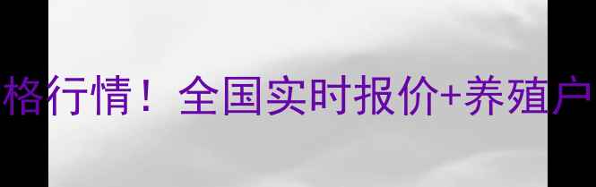 图片 🔥土鸡苗最新价格行情！全国实时报价+养殖户必看避坑指南🐔
