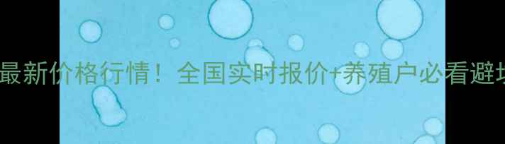 图片 🔥土鸡苗最新价格行情！全国实时报价+养殖户必看避坑指南🐔1