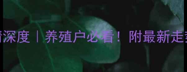 图片 🔥大连毛鸡价格行情深度｜养殖户必看！附最新走势图+养殖参考攻略2