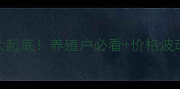 图片 🔥天津鲤鱼批发价格大起底！养殖户必看+价格波动原因+选购技巧全🔥1