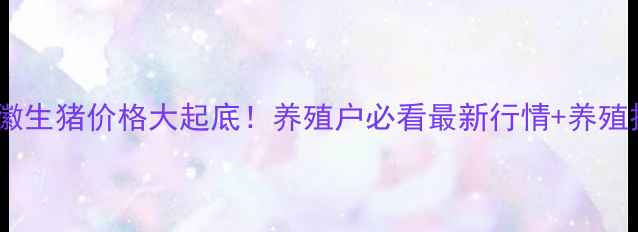 图片 🔥安徽生猪价格大起底！养殖户必看最新行情+养殖技巧1