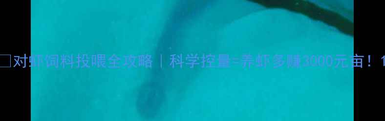 图片 🔥对虾饲料投喂全攻略｜科学控量=养虾多赚3000元亩！1