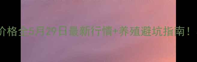 图片 🔥山东大e猪价格全5月29日最新行情+养殖避坑指南！养殖户必看🐷