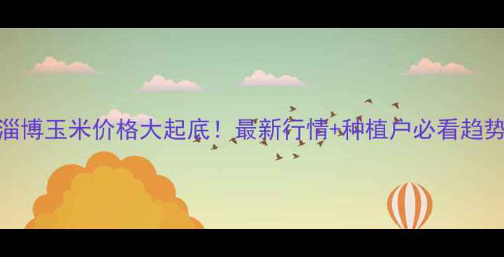 图片 🔥山东淄博玉米价格大起底！最新行情+种植户必看趋势分析🌾