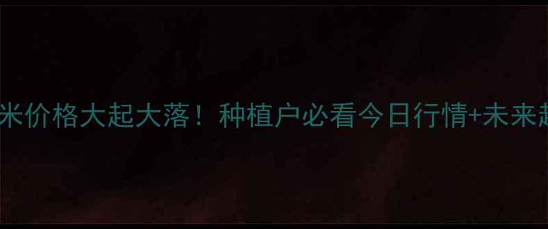 图片 🔥山东玉米价格大起大落！种植户必看今日行情+未来趋势🌾💰2