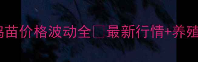 图片 🔥山东省肉鸡苗价格波动全🔥最新行情+养殖户避坑指南2