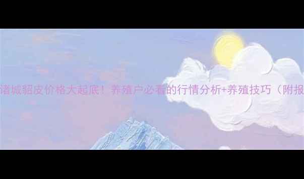 图片 🔥山东诸城貂皮价格大起底！养殖户必看的行情分析+养殖技巧（附报价表）