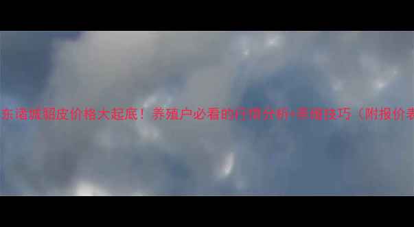 图片 🔥山东诸城貂皮价格大起底！养殖户必看的行情分析+养殖技巧（附报价表）1