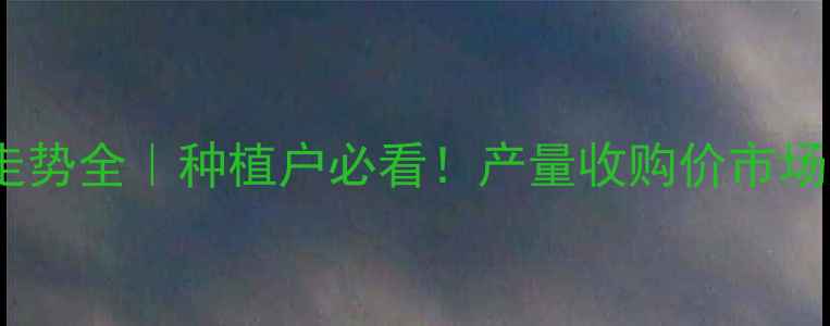 图片 🔥山西玉米价格走势全｜种植户必看！产量收购价市场趋势最新报告🌾1