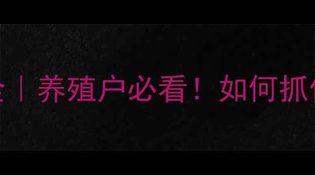 图片 🔥最新猪价波动全｜养殖户必看！如何抓住市场红利期？💡