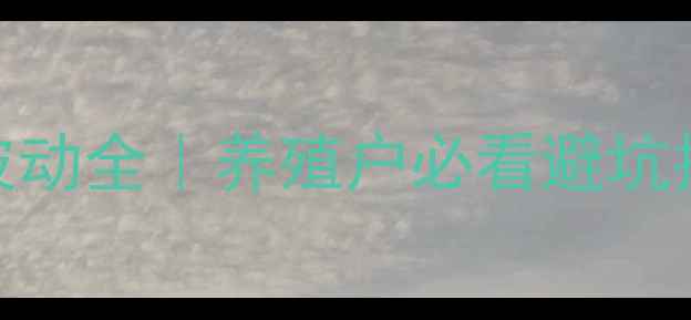 图片 🔥江苏沭阳小猪价格波动全｜养殖户必看避坑指南+最新市场趋势🔥1