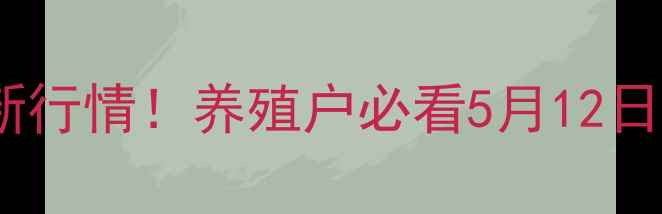 图片 🔥河北生猪价格最新行情！养殖户必看5月12日价格走势+养殖建议