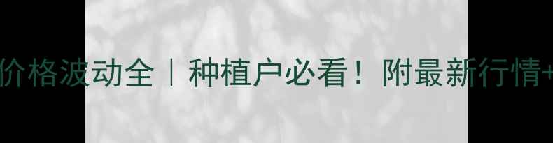 图片 🔥泰州豆粕价格波动全｜种植户必看！附最新行情+避坑指南💰