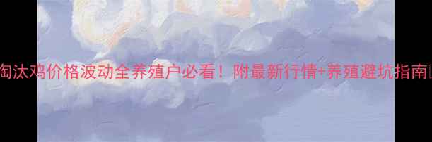 图片 🔥淘汰鸡价格波动全养殖户必看！附最新行情+养殖避坑指南💡1