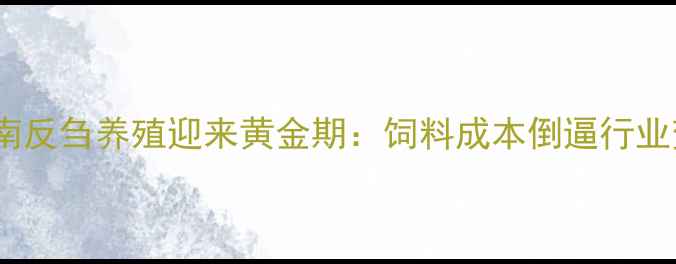 图片 🔥湖南反刍养殖迎来黄金期：饲料成本倒逼行业变革2