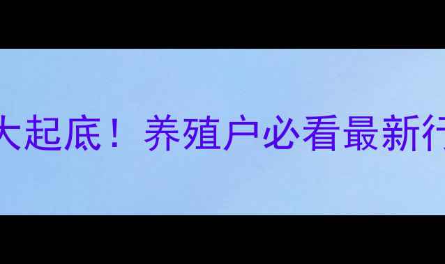 图片 🔥湖南衡阳县生猪价格大起底！养殖户必看最新行情+养殖避坑指南🐷💰1