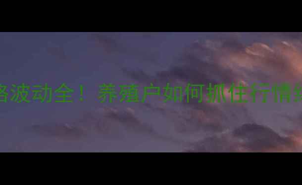 图片 🔥猪农必看出栏价格波动全！养殖户如何抓住行情红利？附避坑指南🔥