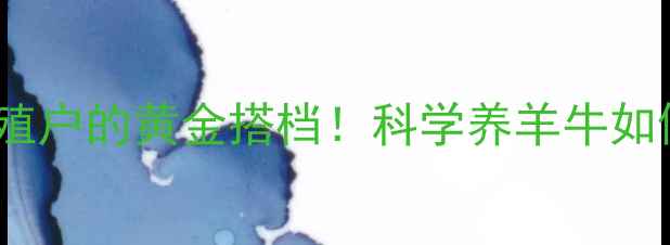 图片 🔥瘤胃宝发酵饲料：养殖户的黄金搭档！科学养羊牛如何实现效益翻倍？🐄💰1