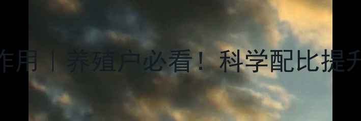 图片 🔥粗蛋白在饲料中的作用｜养殖户必看！科学配比提升效益的5大关键点🌟2