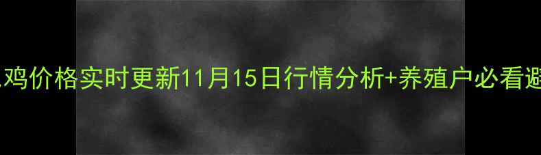 图片 🔥聊城肉毛鸡价格实时更新11月15日行情分析+养殖户必看避坑指南🐔1