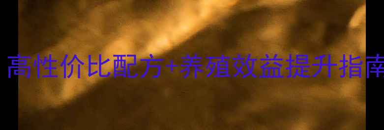 图片 🔥诸城牛羊饲料推荐：高性价比配方+养殖效益提升指南（附最新采购攻略）1