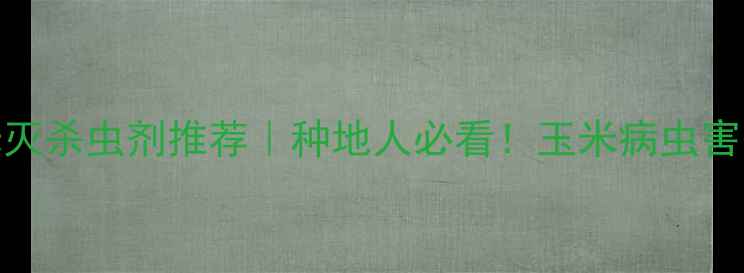 图片 🔥长效玉米灭杀虫剂推荐｜种地人必看！玉米病虫害防控新利器