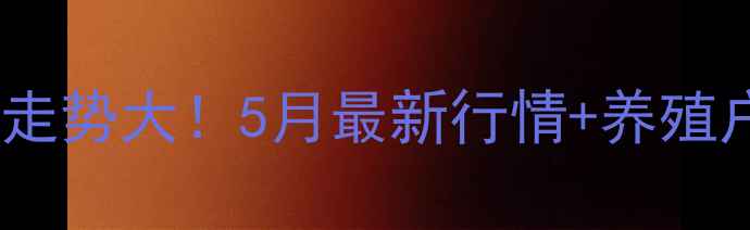 图片 🔥青岛生猪价格走势大！5月最新行情+养殖户必看应对策略1