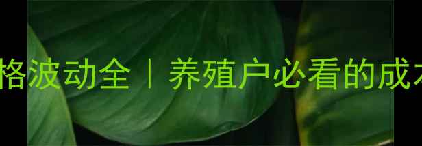 图片 🔥饲料肉鸡价格波动全｜养殖户必看的成本控制指南💡1