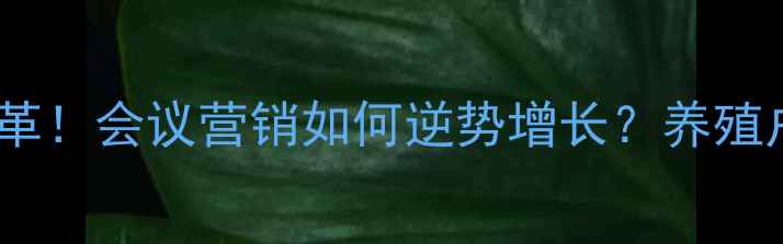图片 🔥饲料行业大变革！会议营销如何逆势增长？养殖户必看干货全📌2