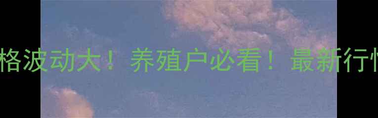 图片 🔥驻马店生猪价格波动大！养殖户必看！最新行情分析+养殖建议