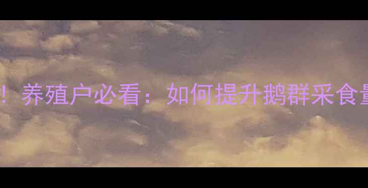 图片 🔥鹅饲料诱食剂推荐！养殖户必看：如何提升鹅群采食量，降低饲料成本？1