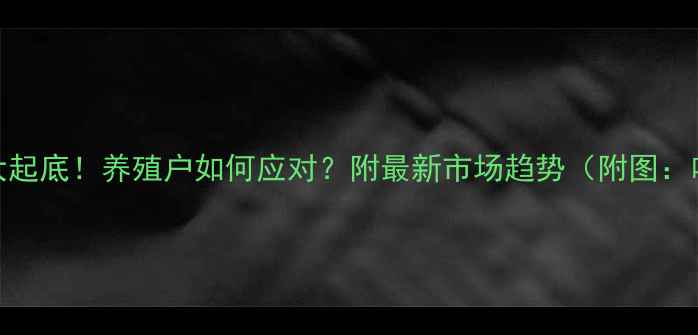 图片 🔥黑龙江猪肉价格大起底！养殖户如何应对？附最新市场趋势（附图：哈尔滨菜市场实拍）