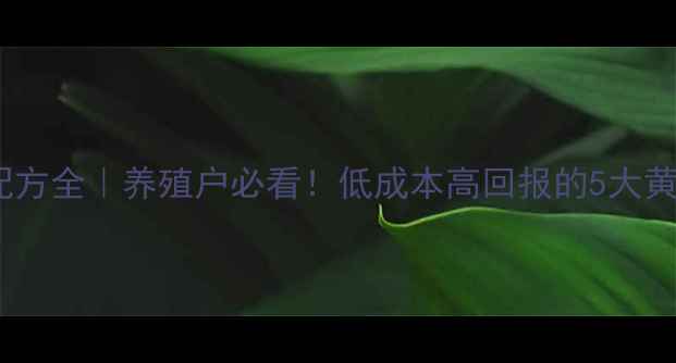 图片 🔥龙虾饲料配方全｜养殖户必看！低成本高回报的5大黄金配比方案1