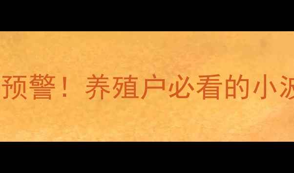 图片 🥚鸡蛋价格波动预警！养殖户必看的小波动大利润攻略2